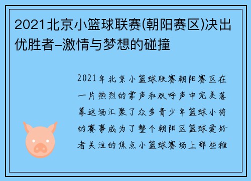 2021北京小篮球联赛(朝阳赛区)决出优胜者-激情与梦想的碰撞