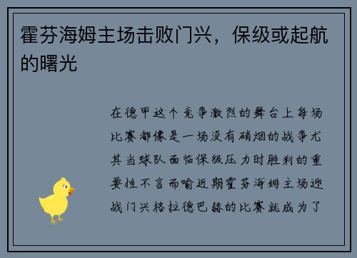 霍芬海姆主场击败门兴，保级或起航的曙光